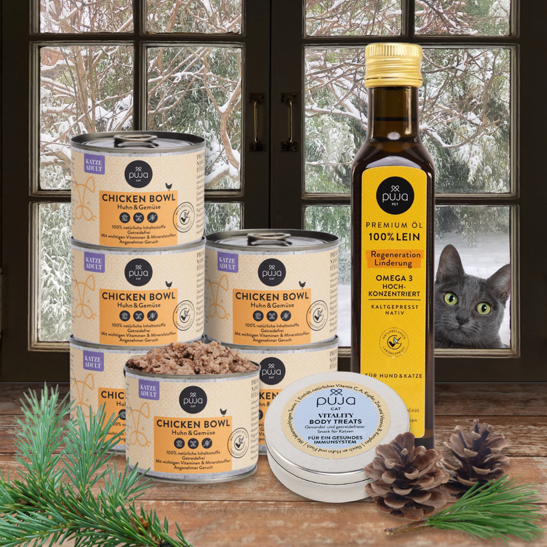 Winter–Paket für deine Katze - das Kombiangebot für alle Schnurrnasen: 6x Premium Nassfutter & 1x Premium Leinöl & 1x Vitality MINI Body