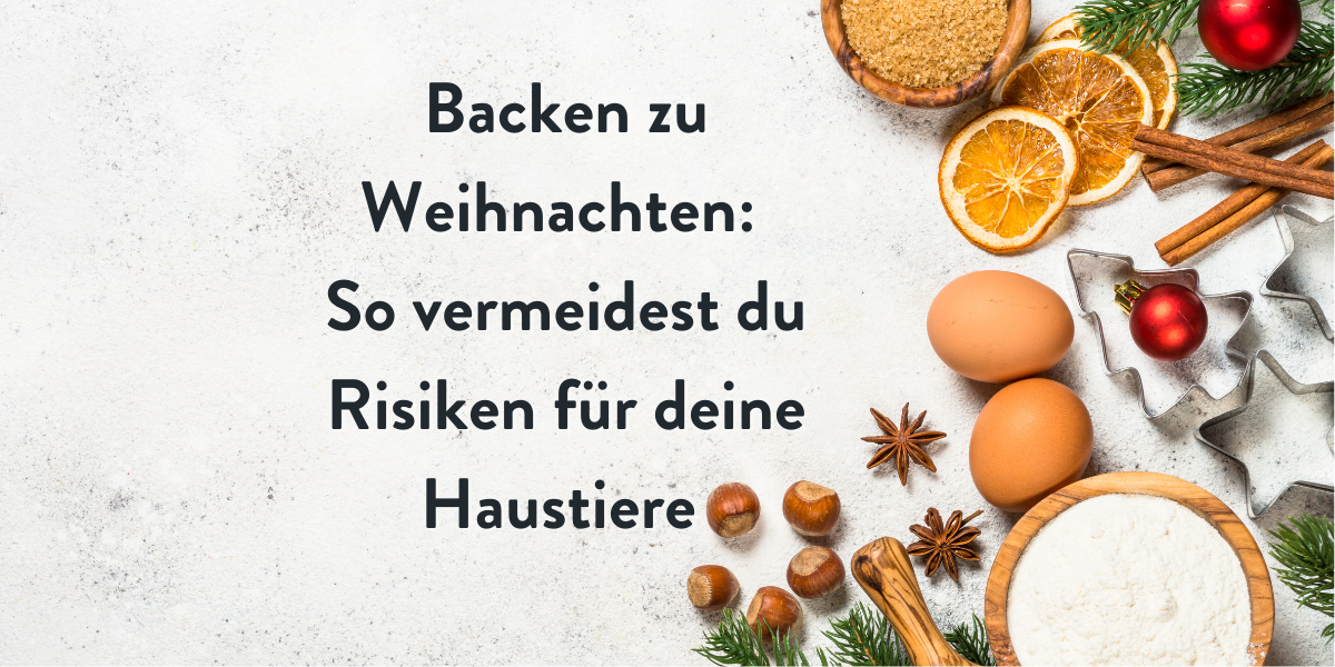 Blog Headerbild Backen 1